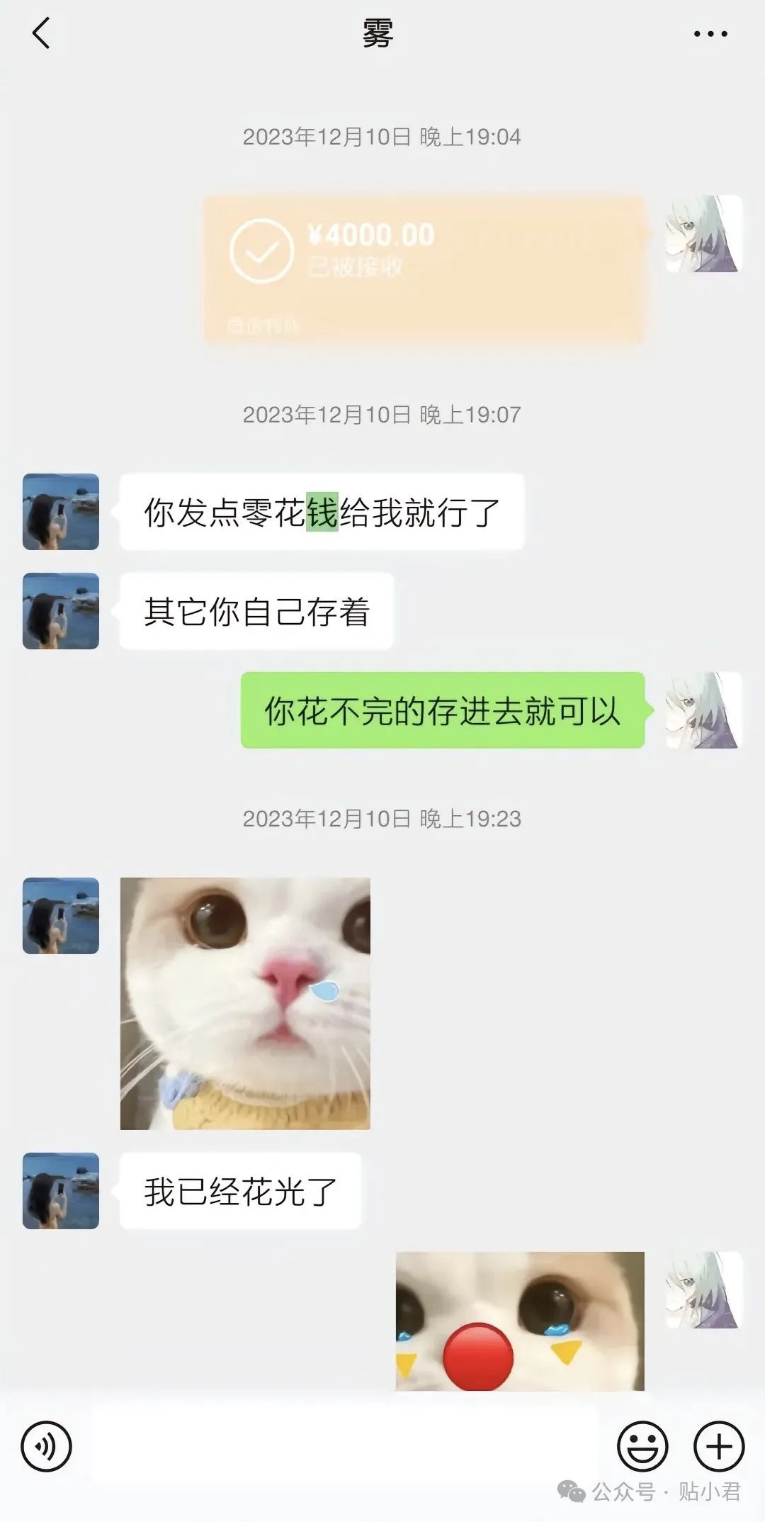 6635a7452e52b.png