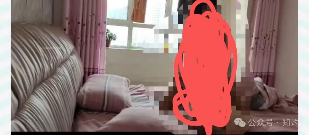 6677d2049673c.png