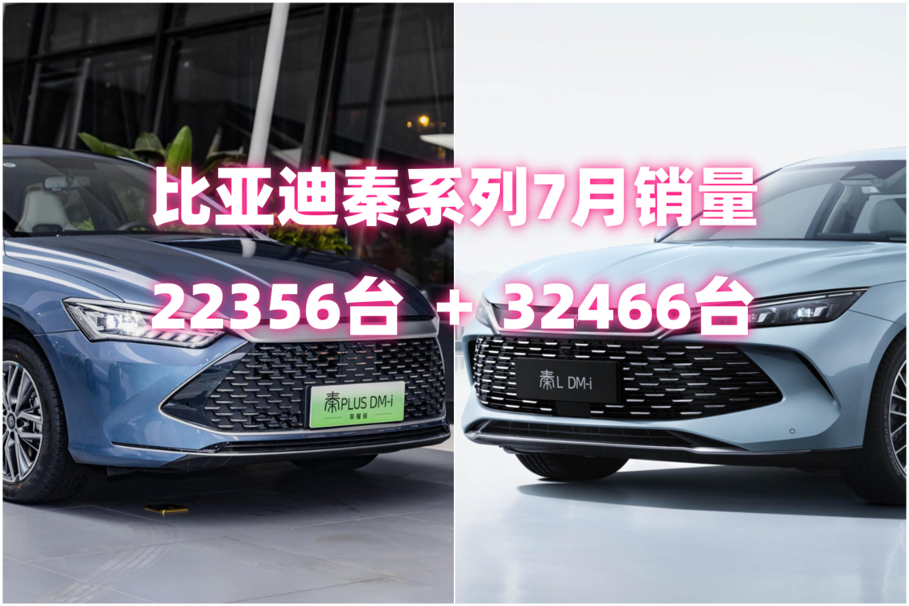 66c1bb31c5d77.png