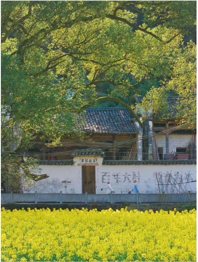 66d470d4c34c5.png