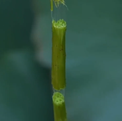 67a6f793151f5.png