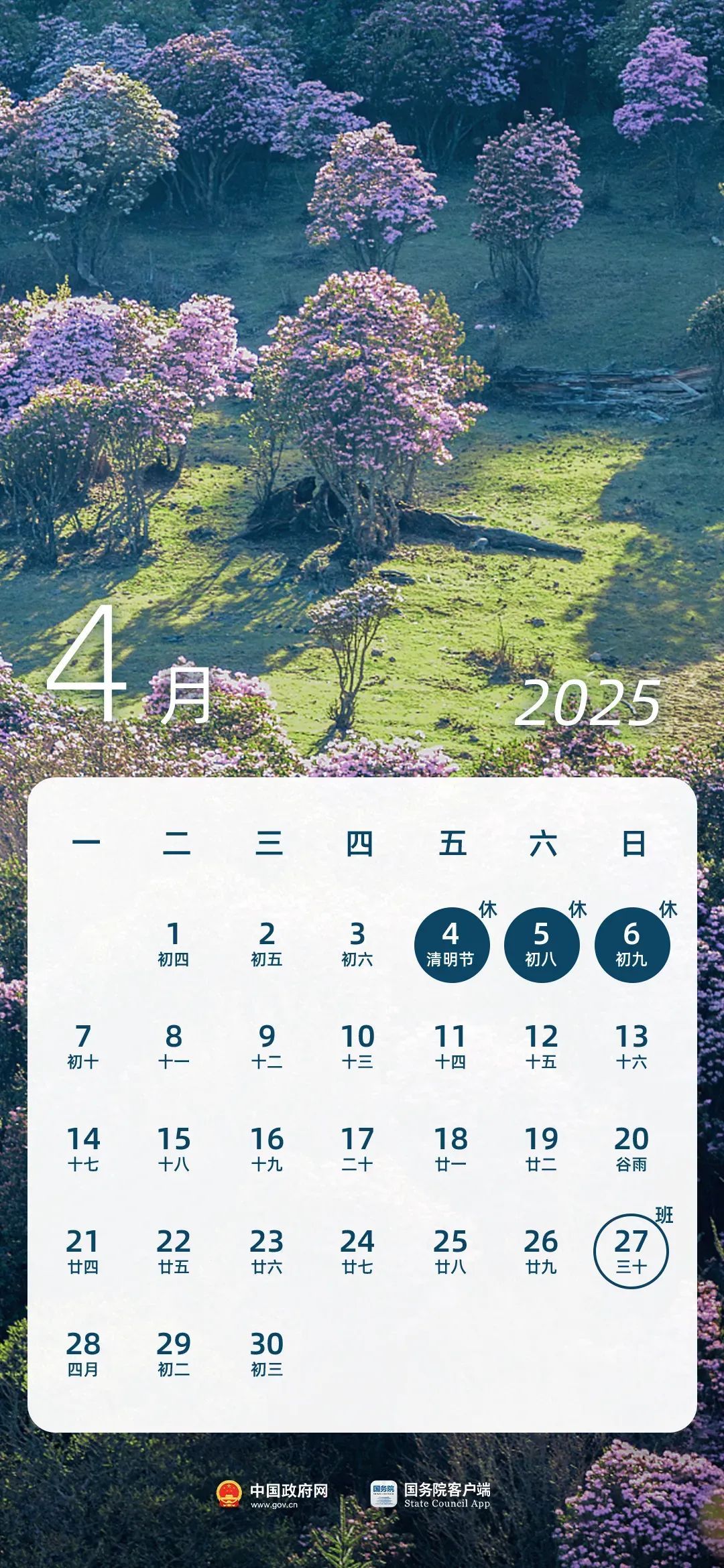 67f33a4135b08.jpg