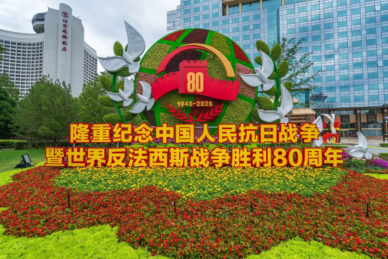 68a98bab915b9.jpg