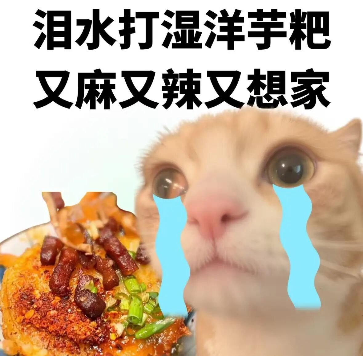 68c612572354a.jpg