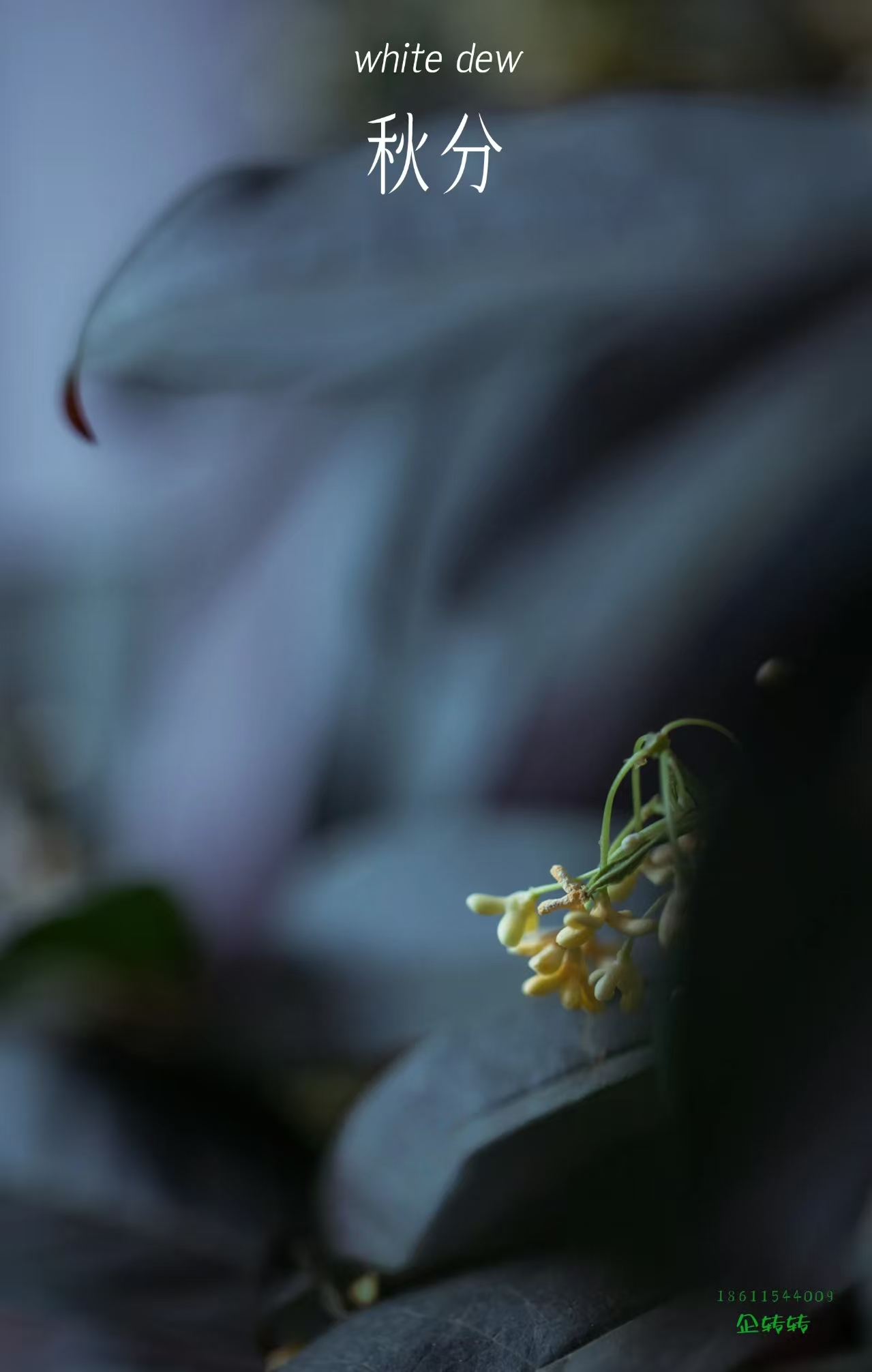 68d13f4894592.png