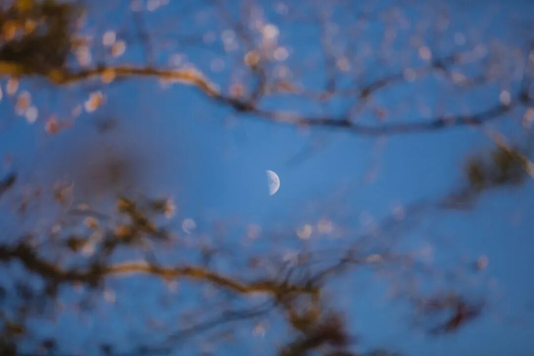 68d140ca5256f.png